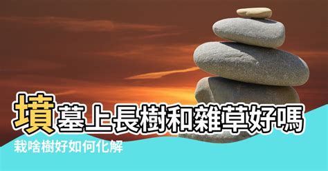 墳場景化解|墳場景化解風水秘訣大公開